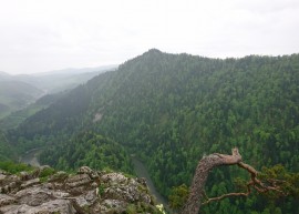 Sokolica - szczyt